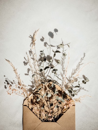 brown plant on brown pot
